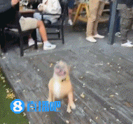 src, net, src src, net, src